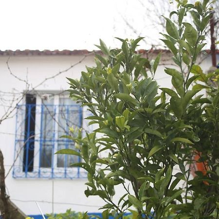 Sintra Nomad Lodge Екстериор снимка