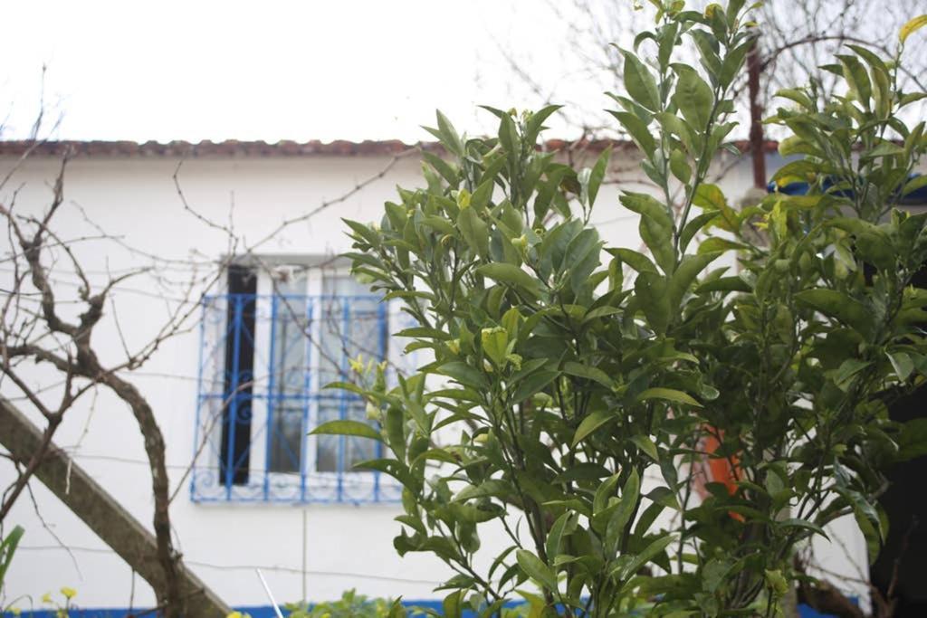 Sintra Nomad Lodge Екстериор снимка